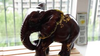 Sacha: Beft hem gulzig & wordt daarna helemaal leeg gereden