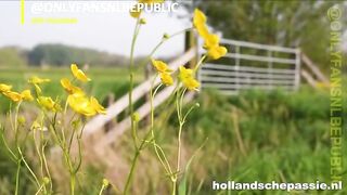 Lorena Den Haag: Laat zich hard nemen op het gras tot haar kont glanst